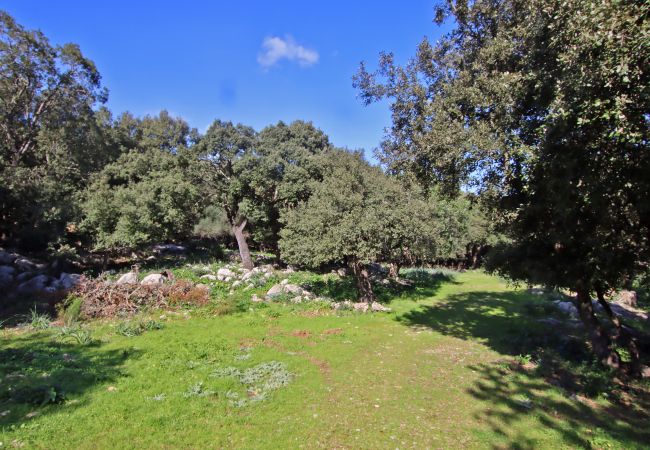 Villa en Sa Pobla - Villa Es Bosquet by Slow Villas Villa en Sa Pobla - Villa Es Bosquet by Slow Villas