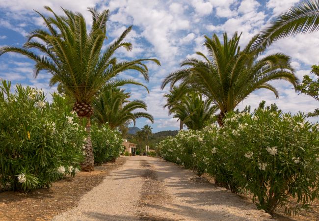 Villa en Santa Maria del Cami - Villa Cas Frares by Slow Villas Villa en Santa Maria del Cami - Villa Cas Frares by Slow Villas