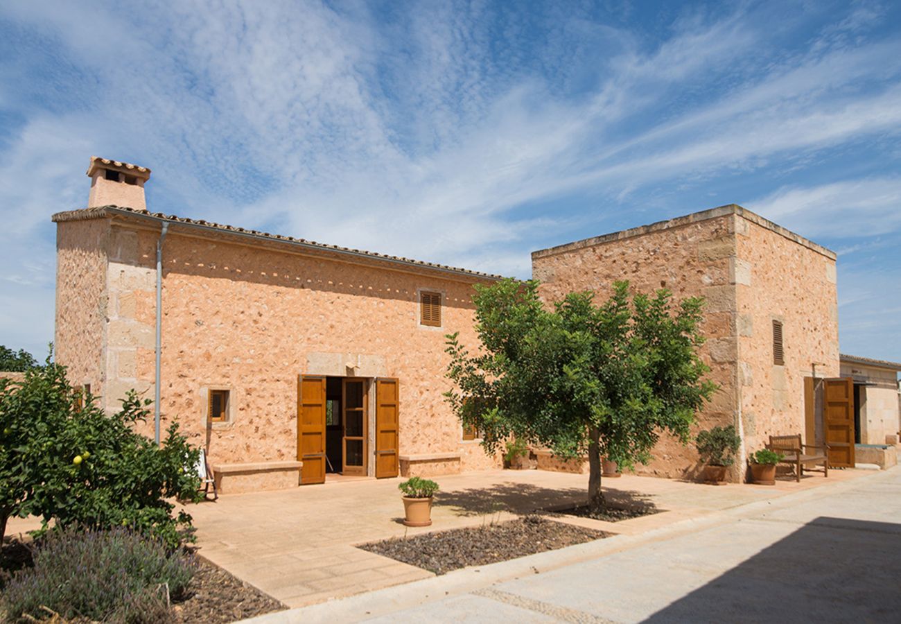 Chalet en Campos - Villa Can Vent