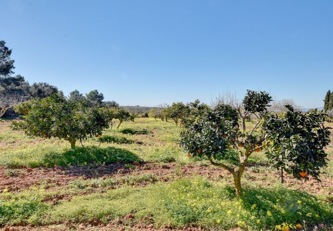 Villa en Algaida - Villa Monsebo by Slow Villas Villa en Algaida - Villa Monsebo by Slow Villas