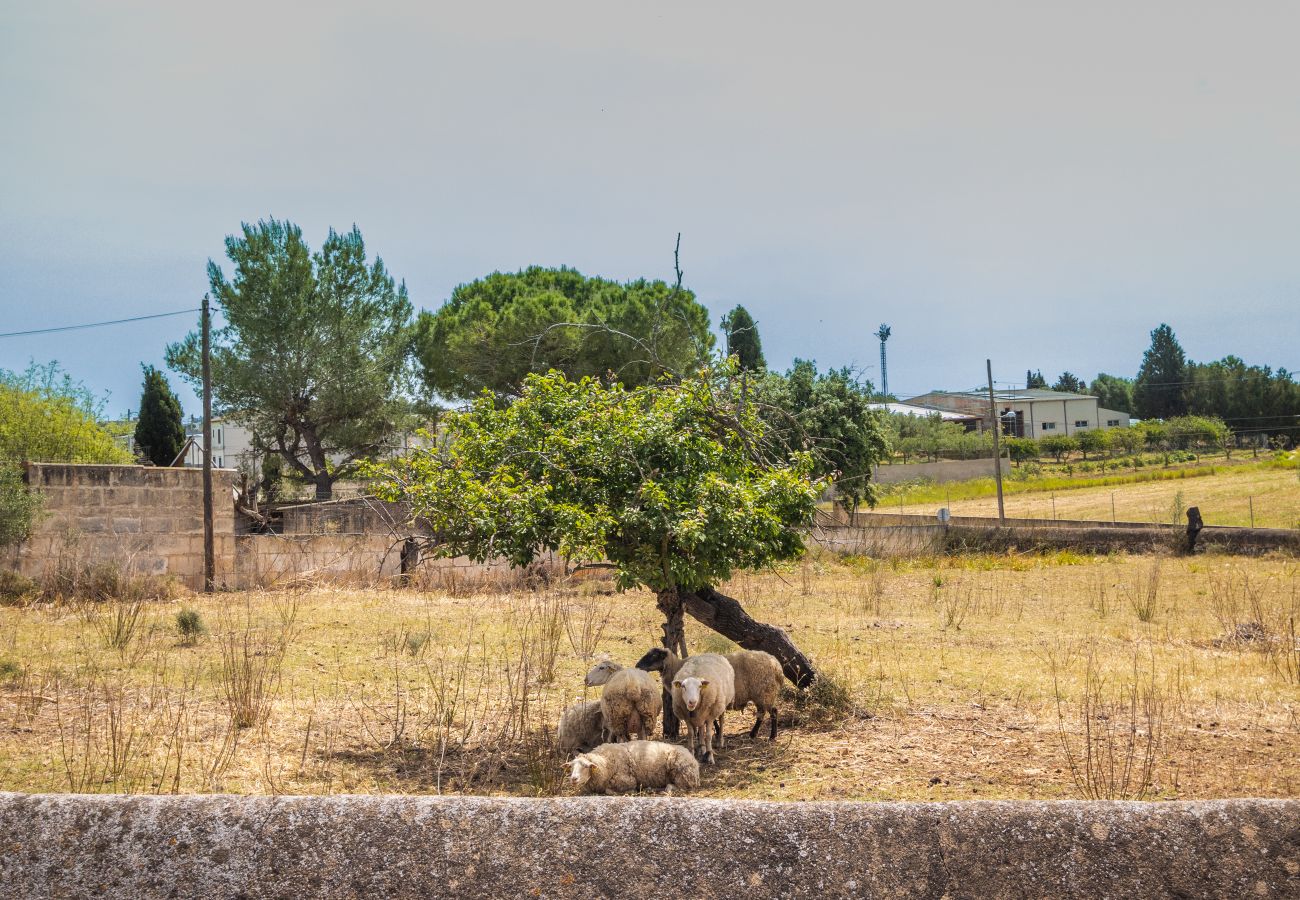 Villa en Sant Llorenç Des Cardassar - Villa Es Moli d'en Llull by Slow Villas
