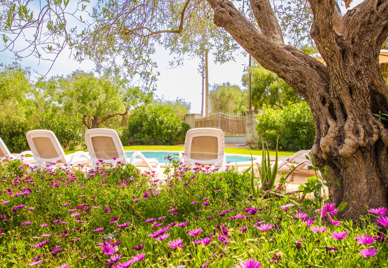 Villa en Sant Llorenç Des Cardassar - Villa Es Moli d'en Llull by Slow Villas
