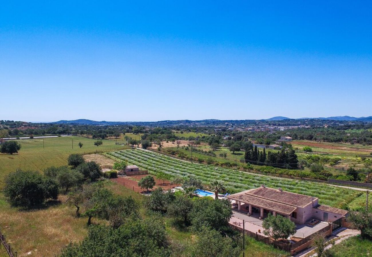 Villa en Sant Llorenç Des Cardassar - Villa Son Segi By Slow Villas