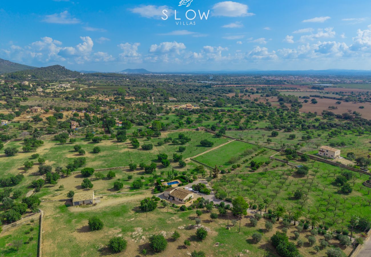 Villa in Santa Maria del Cami - Villa Cas Frares by Slow Villas Villa in Santa Maria del Cami - Villa Cas Frares by Slow Villas