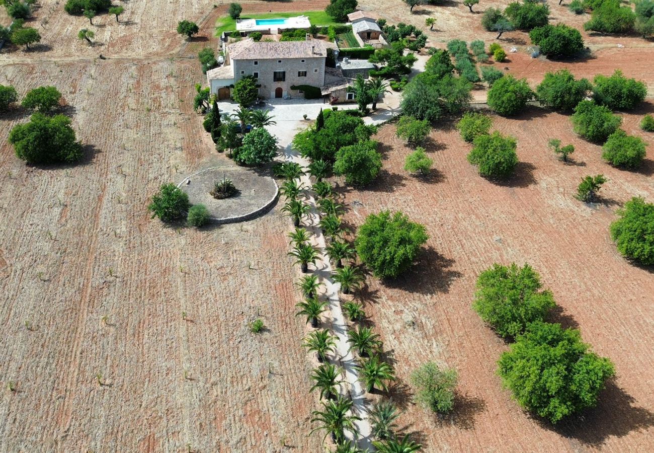 Villa in Alaro - Villa Son Guinyol by Slow Villas