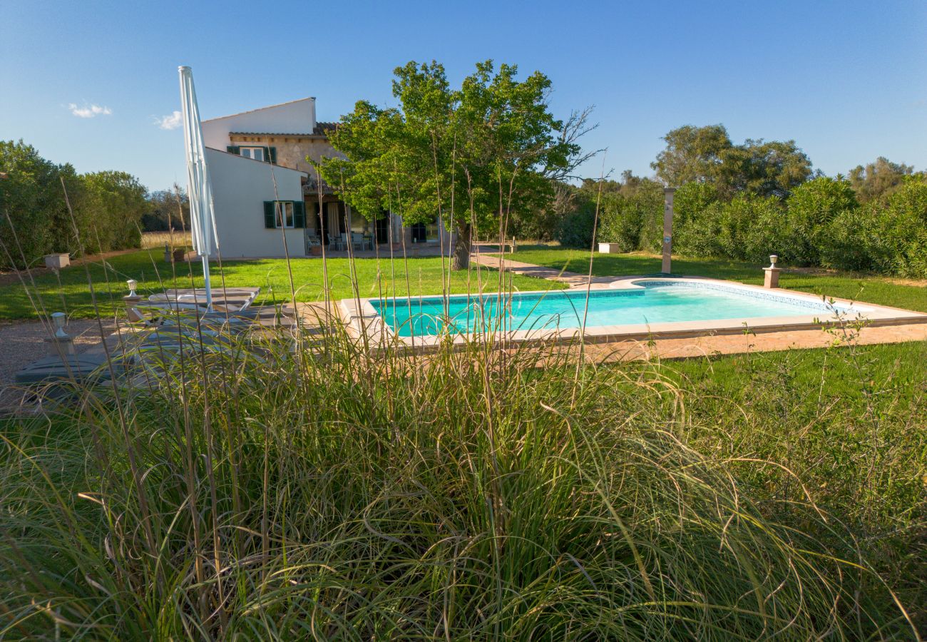 Chalet in Cas Concos des Cavaller - Villa Sa Pau by Slow Villas