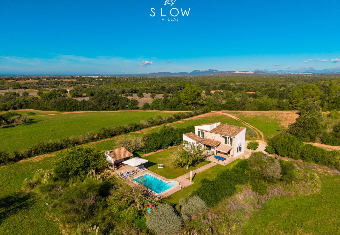 Chalet in Cas Concos des Cavaller - Villa Sa Pau by Slow Villas