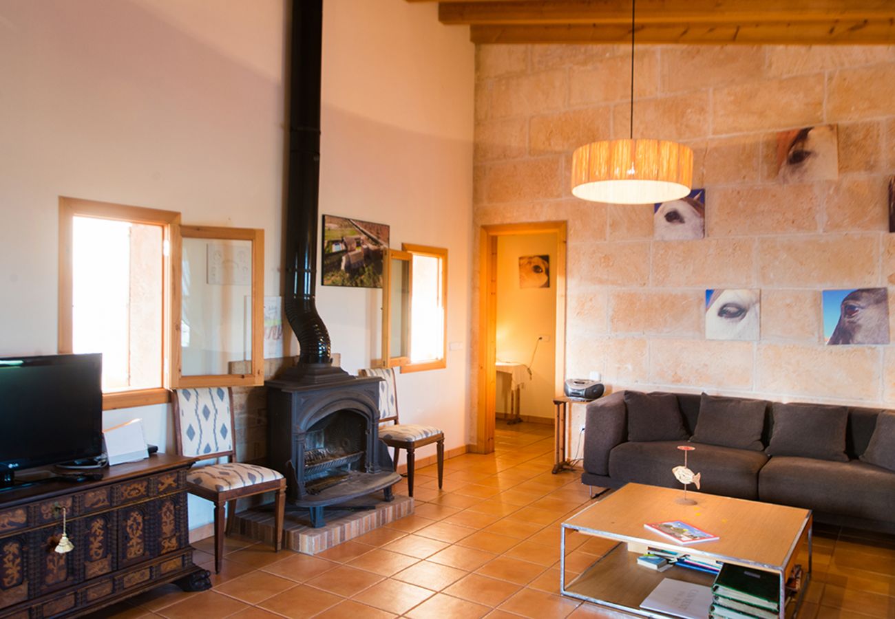 Chalet in Campos - Villa Can Vent