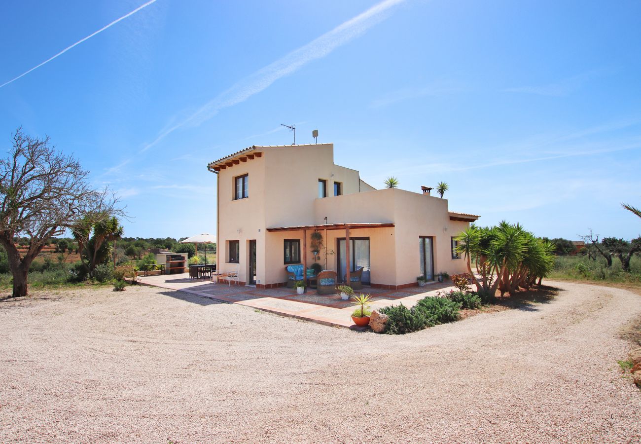 Chalet in LLucmajor - Villa Can Bere