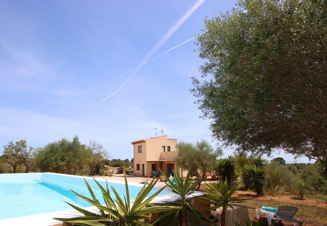 Chalet in LLucmajor - Villa Can Bere