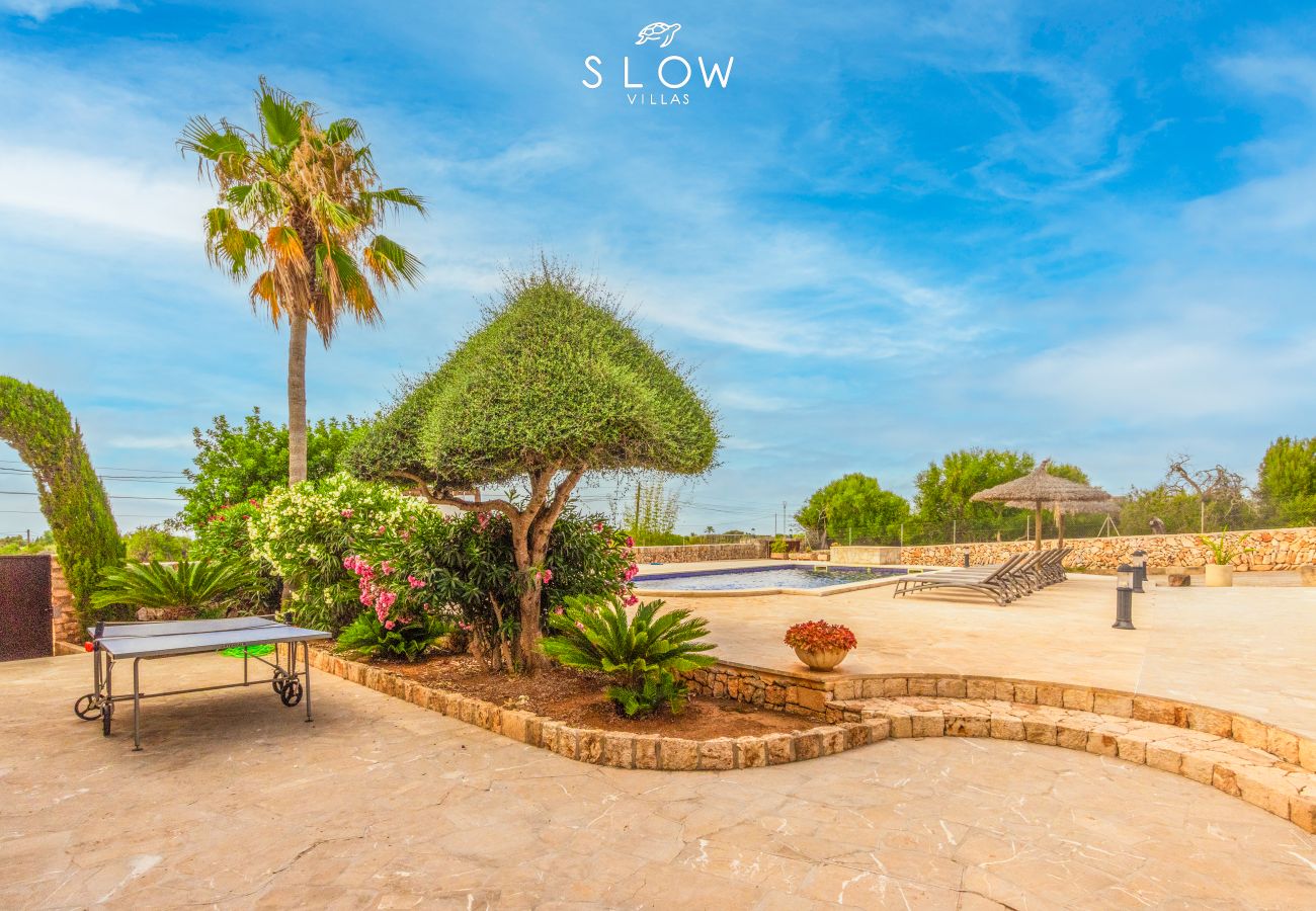 Villa in Santanyi - Villa S´Alzina by Slow Villas
