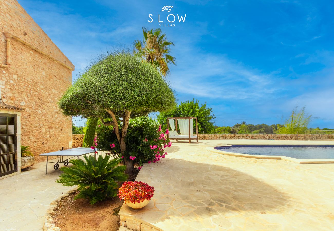 Villa in Santanyi - Villa S´Alzina by Slow Villas