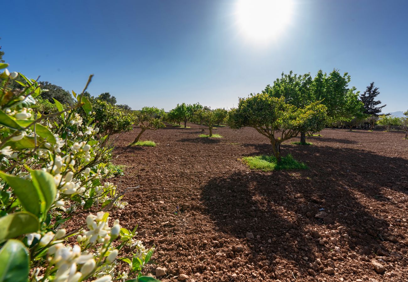Villa in Algaida - Villa Monsebo by Slow Villas