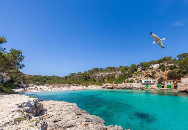 Chalet in Es Llombards - Villa Sa Llimonera by Slow Villas Chalet in Es Llombards - Villa Sa Llimonera by Slow Villas