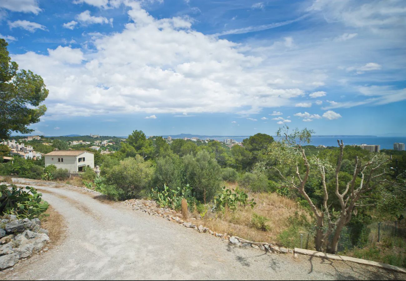 Villa in Palma  - Villa Mar y Monte By Slow Villas