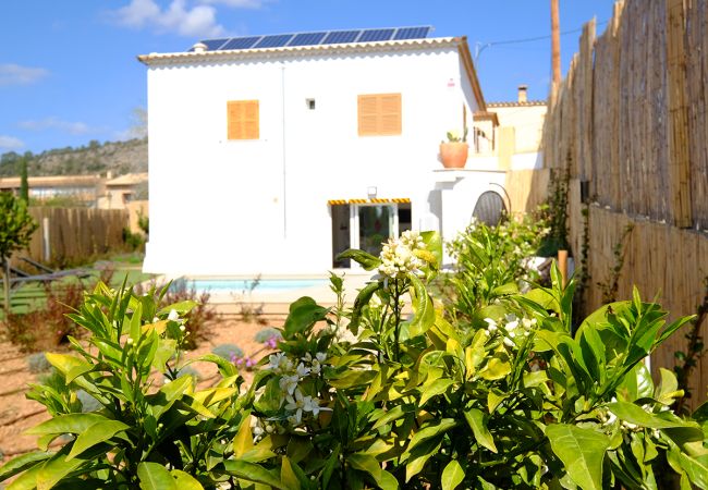 Villa/Dettached house in Calvià - Villa Can Benet de Sa Cubana Villa/Dettached house in Calvià - Villa Can Benet de Sa Cubana