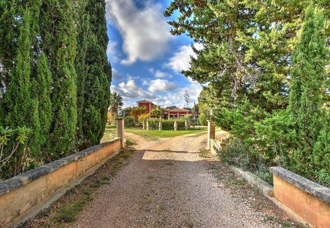 Villa/Dettached house in LLucmajor - Villa Segundo Villa/Dettached house in LLucmajor - Villa Segundo