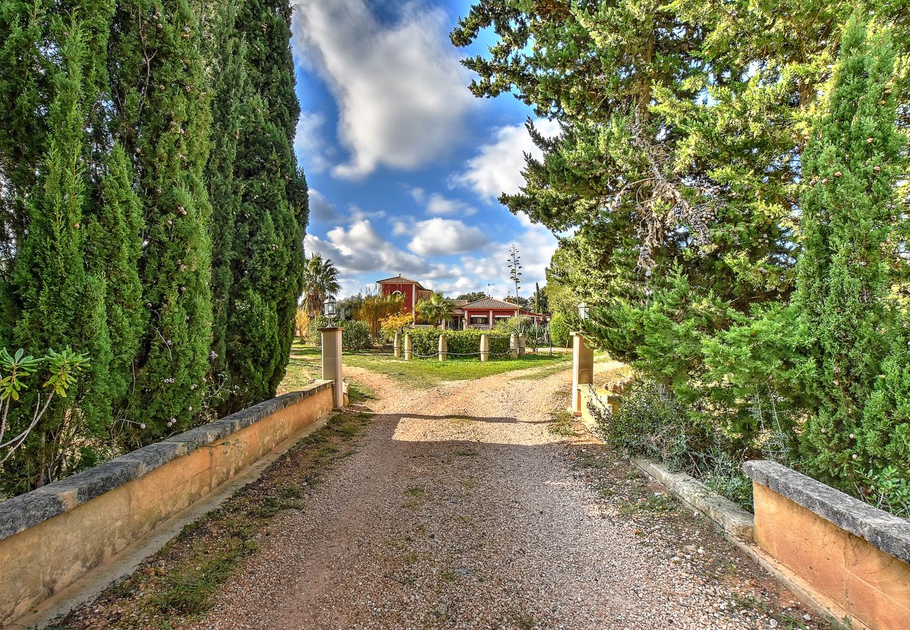Villa/Dettached house in LLucmajor - Villa Segundo Villa/Dettached house in LLucmajor - Villa Segundo